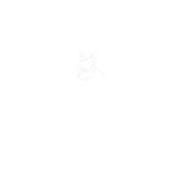logo v2 white small extra