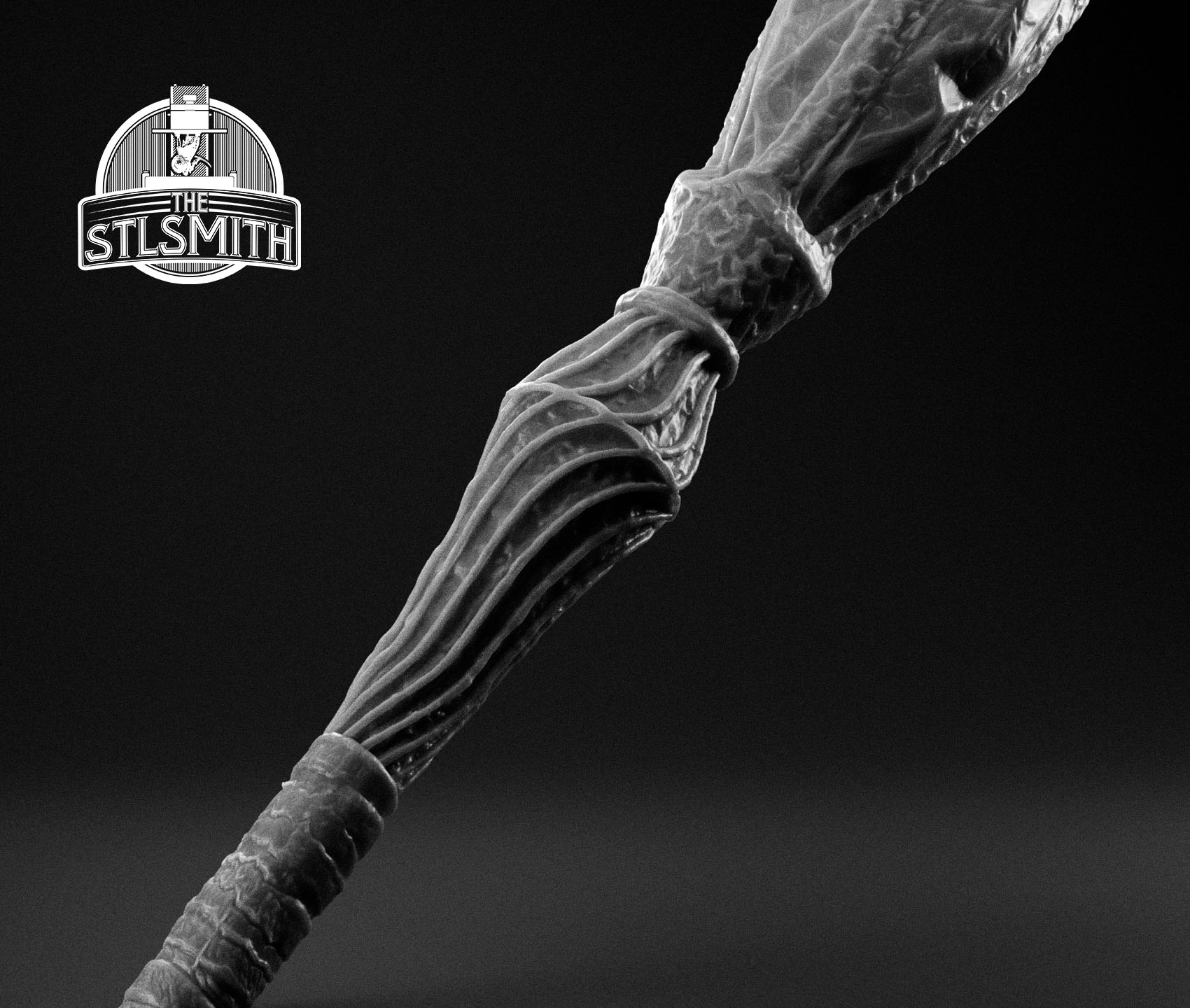 acolyte's staff render bw02 acolyte's staff render bw02