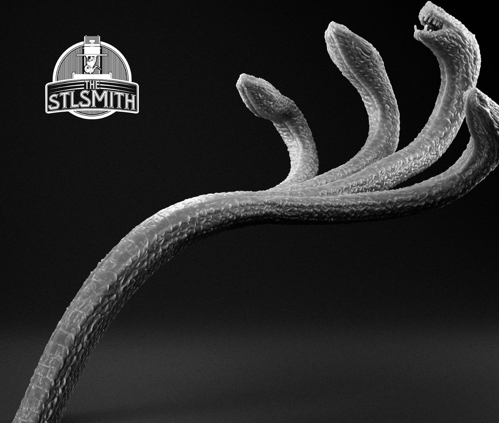 hydra husk 02 render bw hydra husk 02 render bw