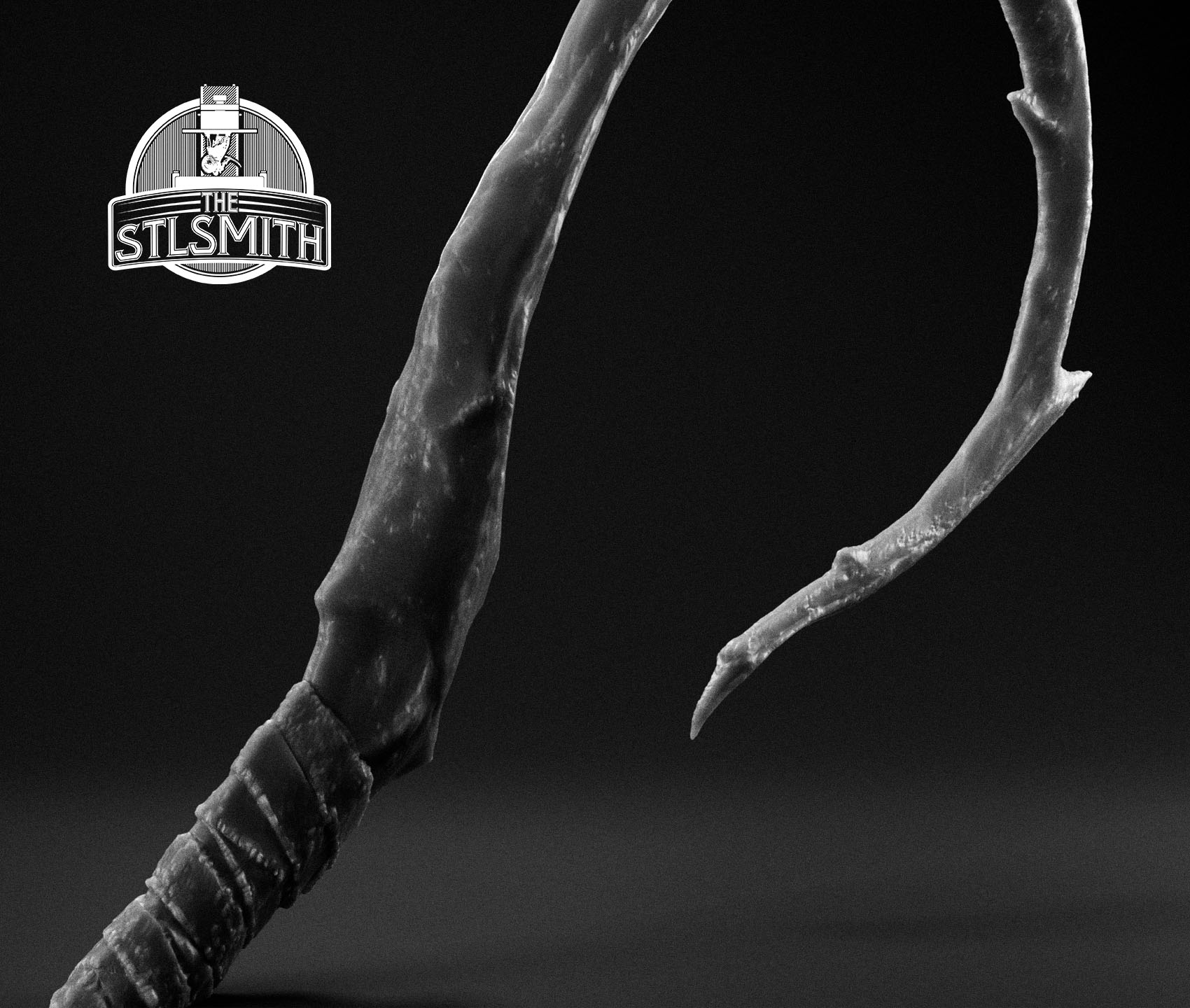 needle of eternal agony render bw 02 needle of eternal agony render bw 02