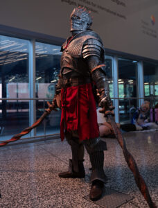 Gallery img 7443