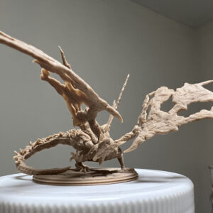 Gallery mmexport1636982823910a