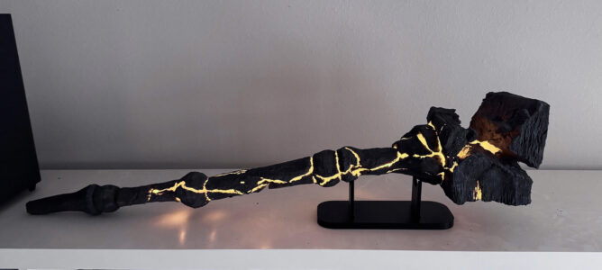 Gallery unnamed (1)